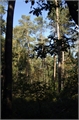 IMGP0018