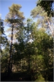 IMGP0022